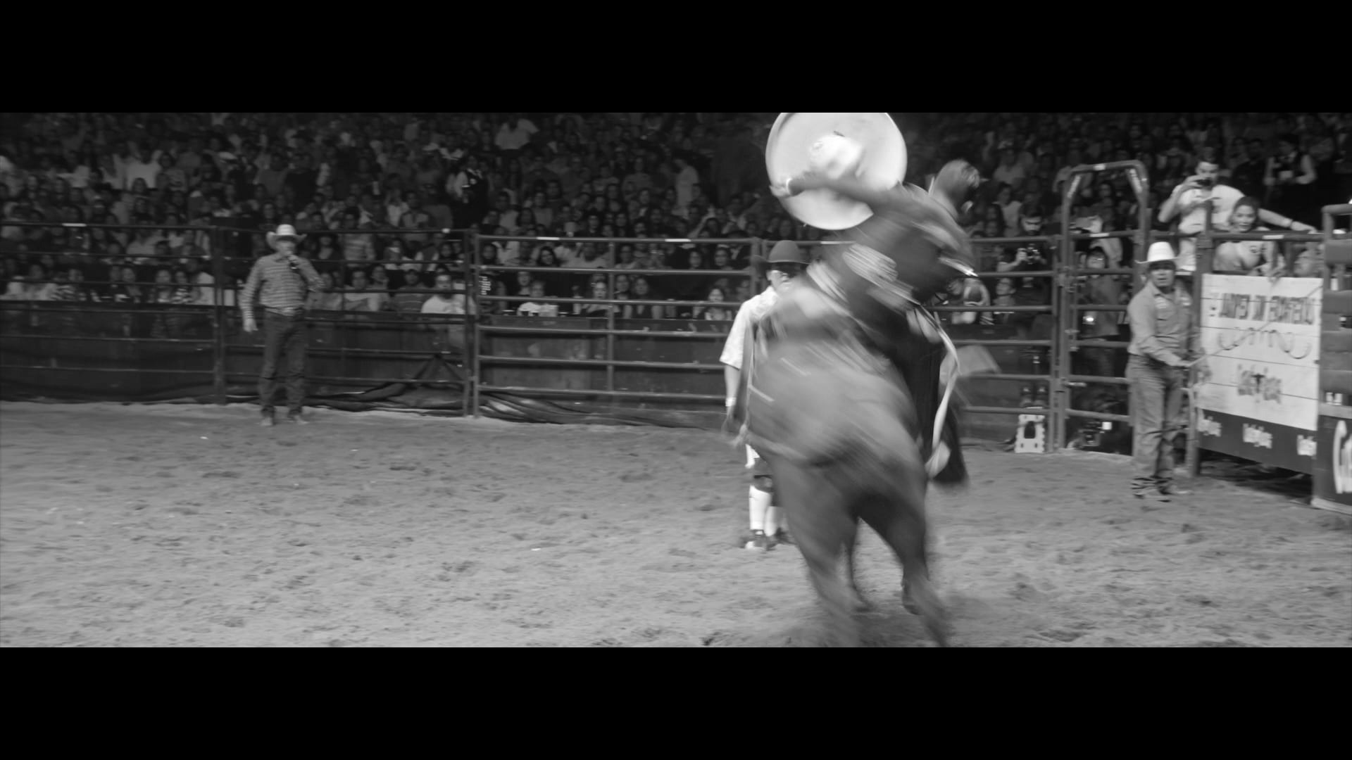 PEPE AGUILAR - JARIPEO